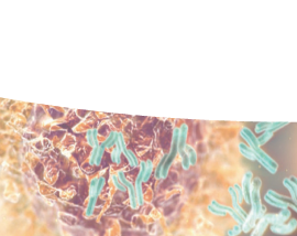 Monoclonal Antibodies